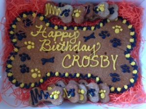 Paw-ty Cakes (Any Occasion) w/ 10 Bone Favors